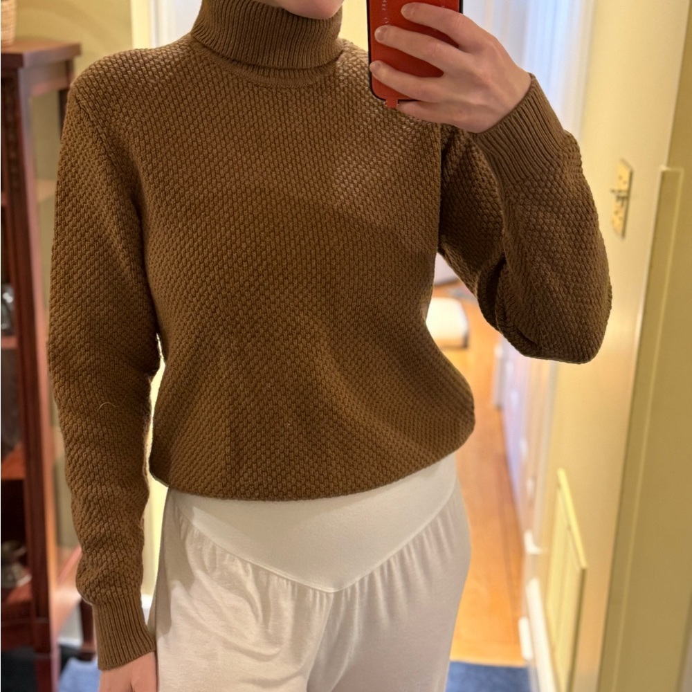 Brown Turtleneck Sweater